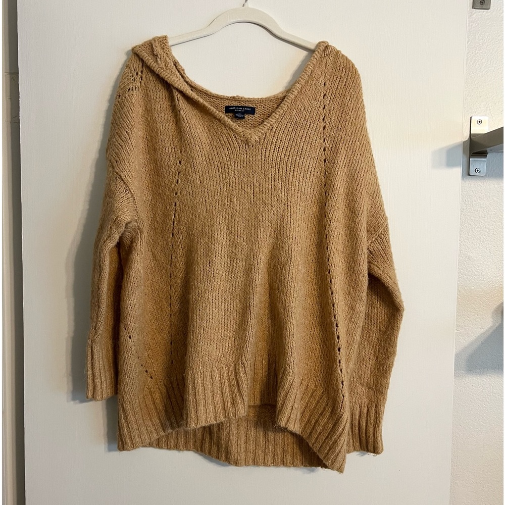 American Eagle Hooded Sweater